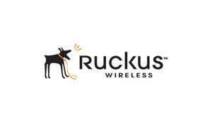 Ruckus Wireless Power over Ethernet Injector - 902-0180-US00