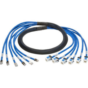Tripp Lite 10ft Augmented Cat6 Cat6a Pre-Terminated Copper Trunk Bundle 6xRJ45 M/F 10' - N261-010-6MF-BL