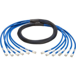 Tripp Lite 6ft Augmented Cat6 Cat6a Pre-Terminated Copper trunk Bundle 6xRJ45 M/M 6' - N261-006-6MM-BL