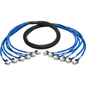 Tripp Lite 10ft Augmented Cat6 Cat6a Pre-Terminated Copper Trunk Bundle 6xRJ45 F/F 10' - N261-010-6FF-BL