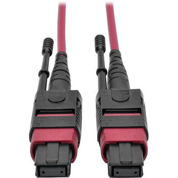 Tripp Lite 10M MTP MPO Multimode Patch Cable 12 Fiber 40/100Gb OM4 50/ 125 CMP - N845-10M-12-MG