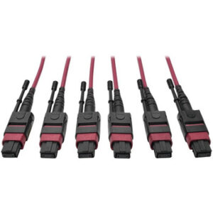 Tripp Lite 24-Fiber MTP MPO OM4 Base-8 MMF Trunk Cable 40/100GbE 3X, 38M - N858-38M-3X8-MG